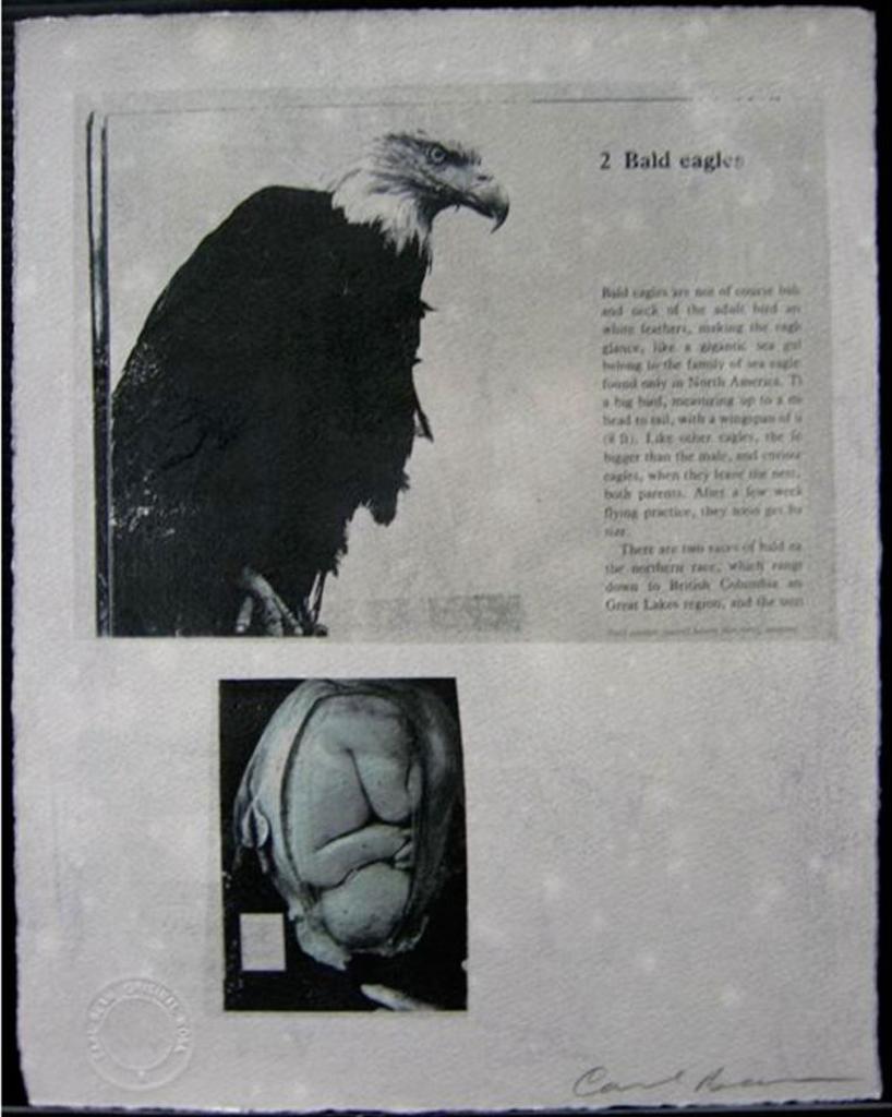 Carl Beam (1943-2005) - 2 Bald Eagles