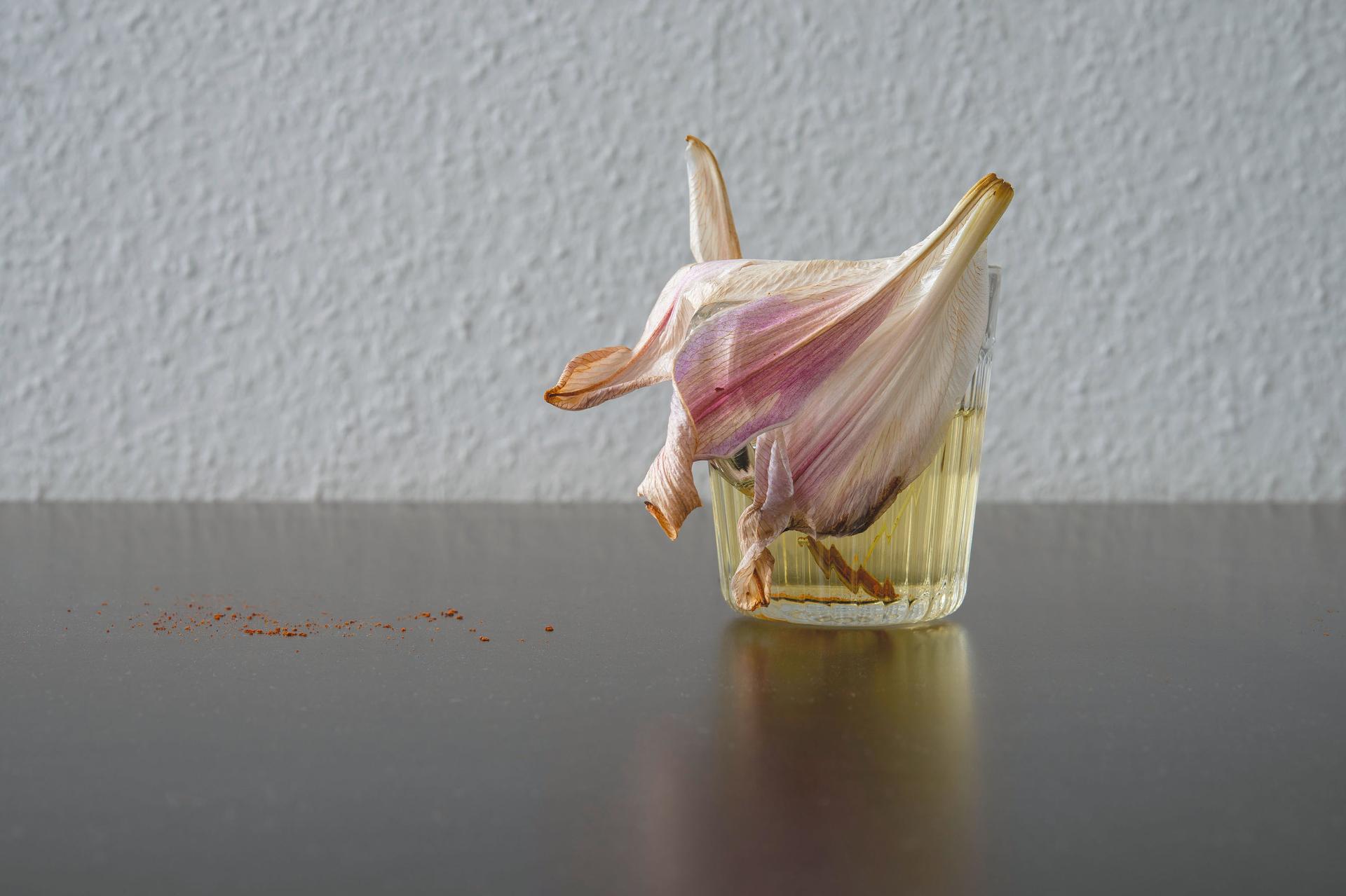 Chih-Chien Wang - Lili Fell in a Glass, 2021
