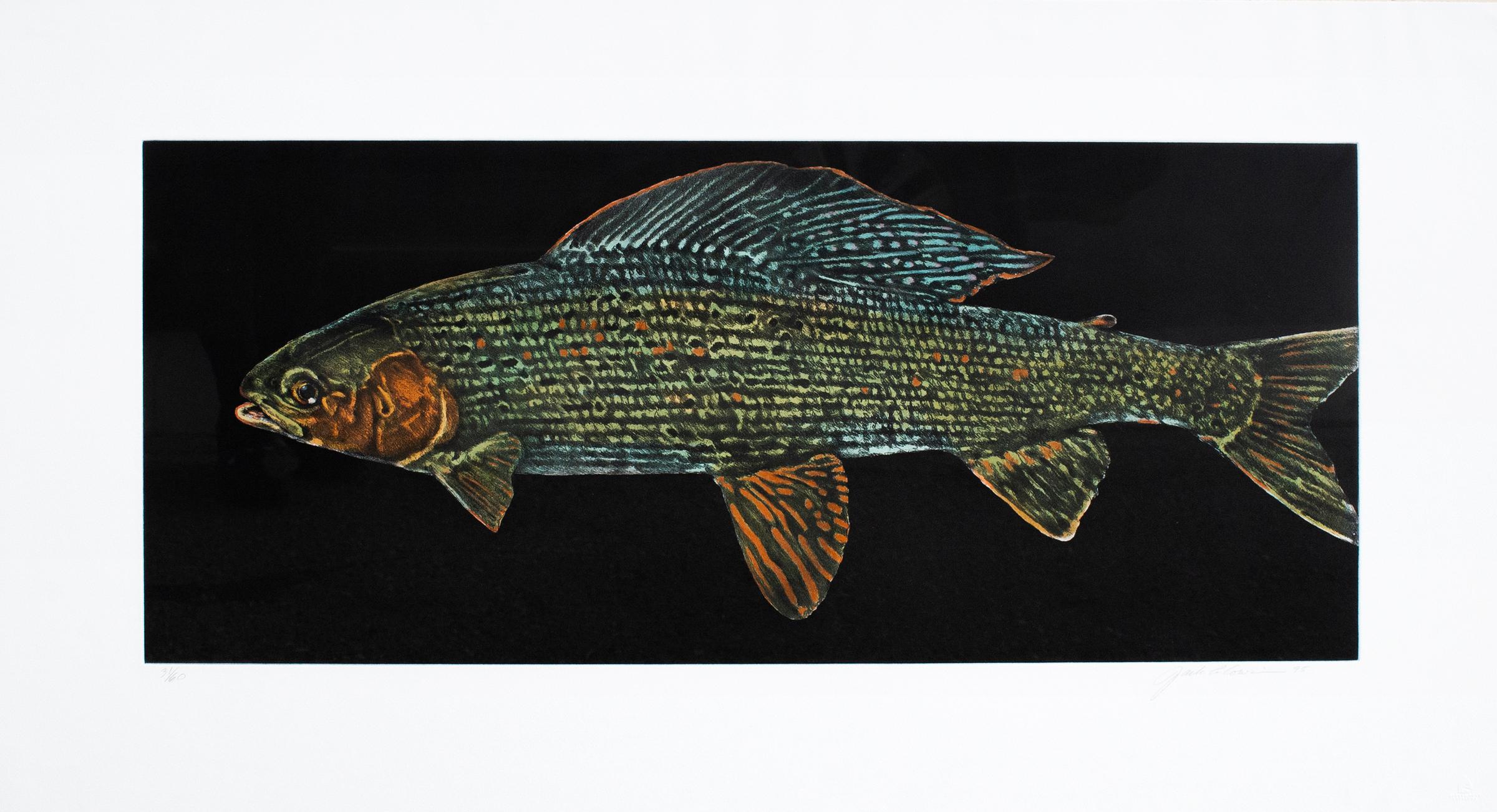 Jack Lee Cowin (1947-2014) - European Grayling, 1995