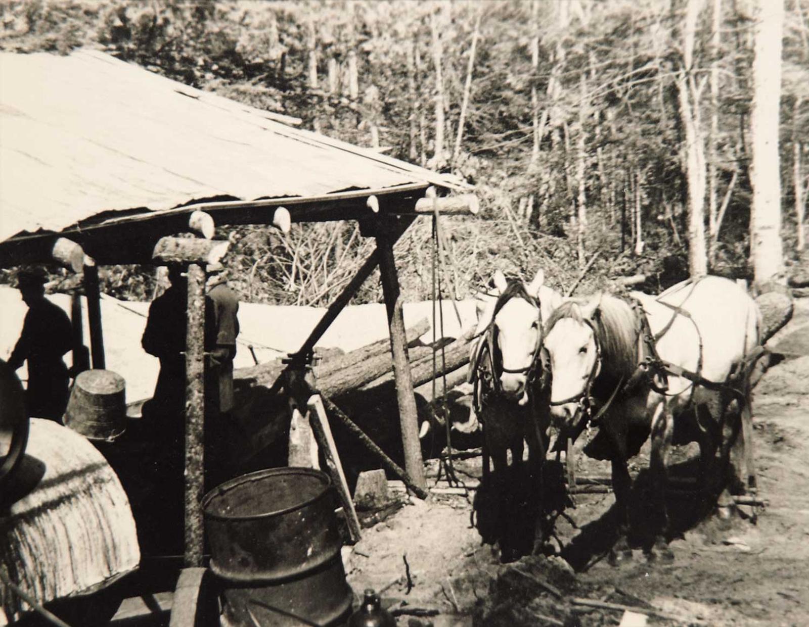 Francis Hans (Franz) Johnston (1889-1949) - Horses at Camp