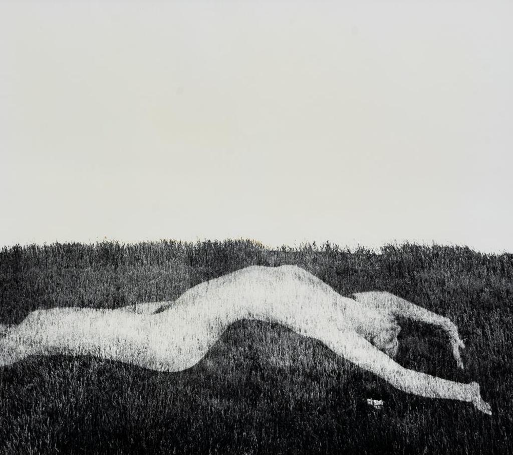 William Allan Grant - Untitled - Nude in the Grass