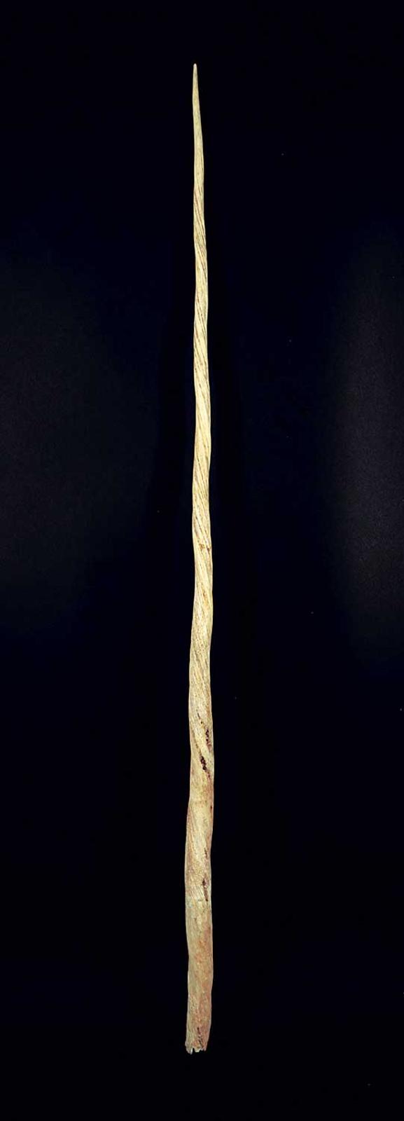 School [Barnabus Arnasungaaq] Inuit - Narwhal Tusk