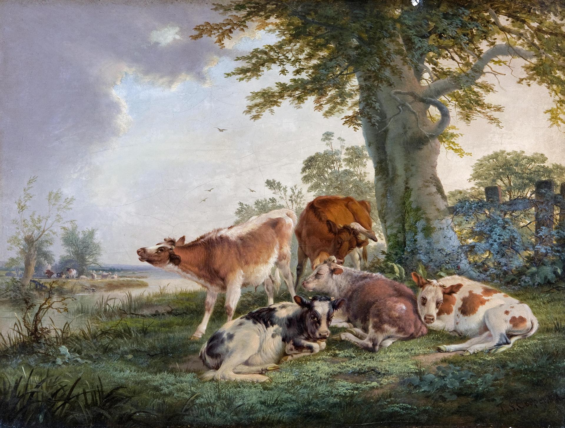 Thomas Sydney Cooper (1803-1902) - Cattle resting by a river
