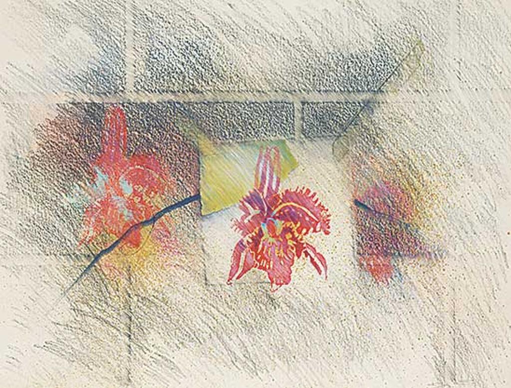 Steven Elliot - Untitled - Orchid