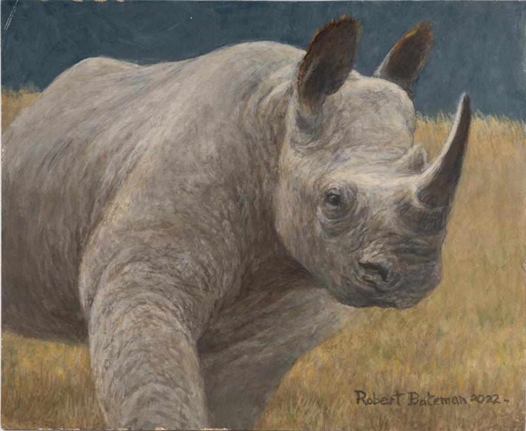 Robert Mclellan Bateman (1930-1922) - Black Rhino