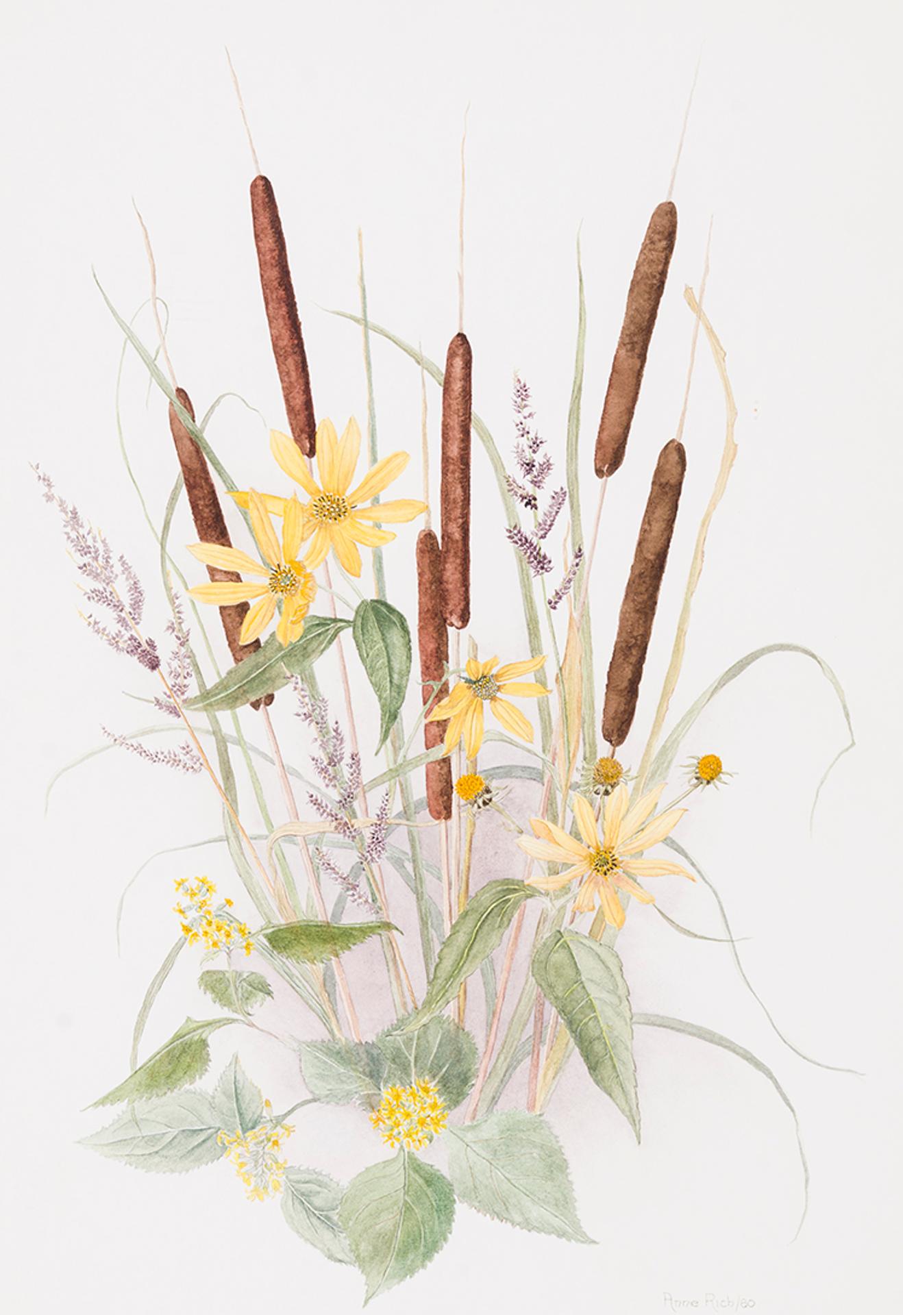 Anne E. Rich - Wildflowers