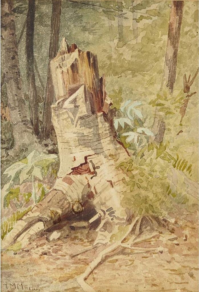 Thomas Mower Martin (1838-1934) - Tree Stump