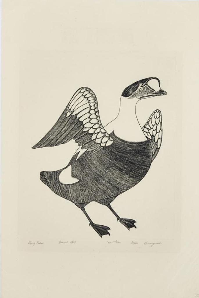 Kananginak Pootoogook (1935-2010) - King Eider