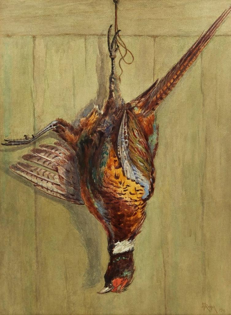 Joseph Thomas Rolph (1831-1916) - Hanging Pheasant