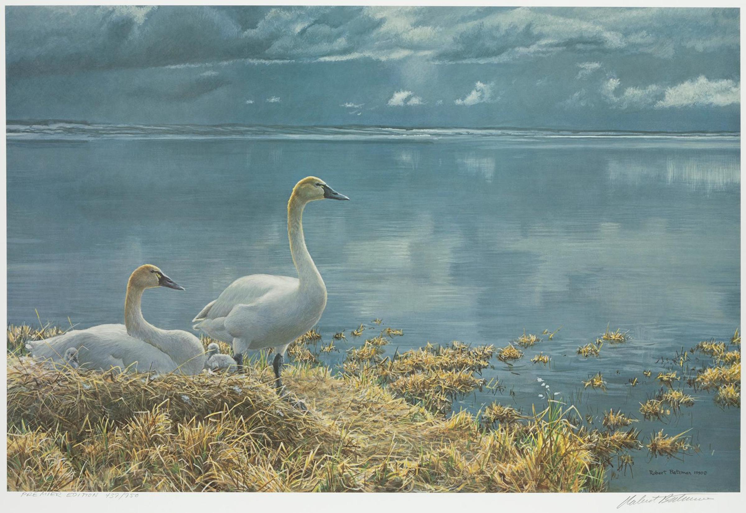 Robert Mclellan Bateman (1930-1922) - Wide Horizon, Tundra Swans