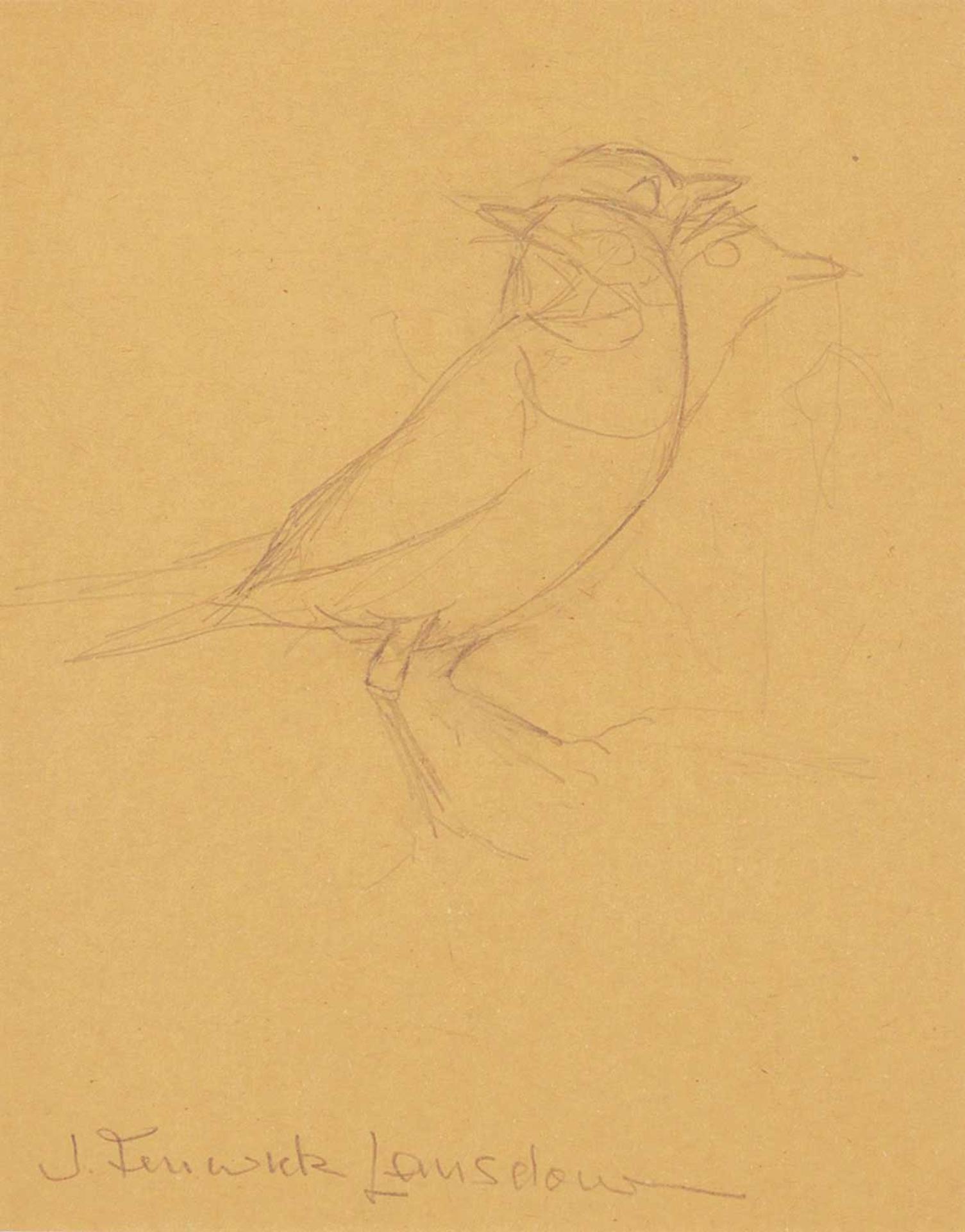 James Fenwick Lansdowne (1937-2008) - Sketch for Birds of the Eastern Forest 2, Plate #66