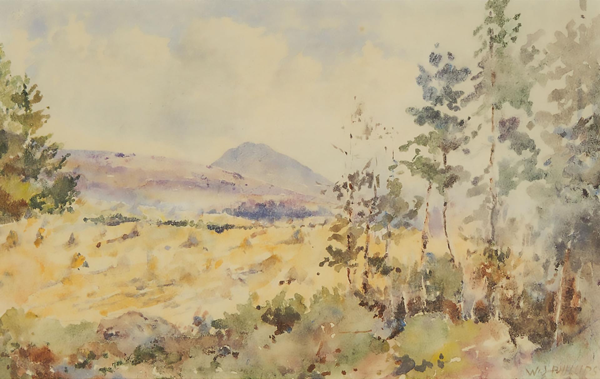 Walter Joseph (W.J.) Phillips (1884-1963) - Untitled (Landscape)