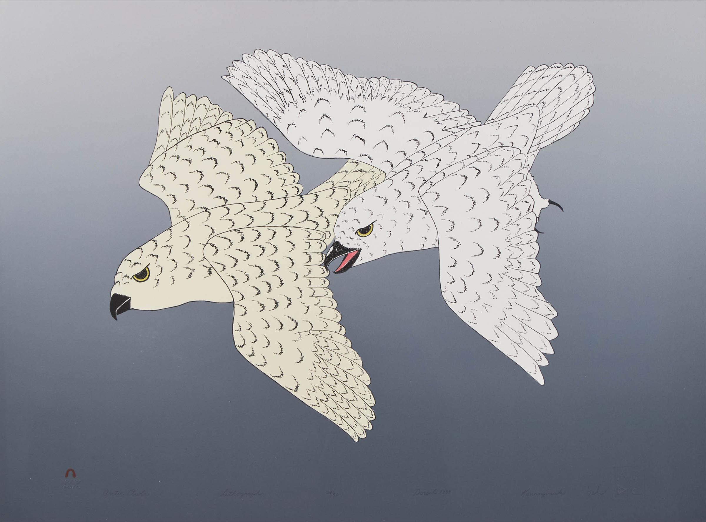 Kananginak Pootoogook (1935-2010) - Arctic Owls, 1999