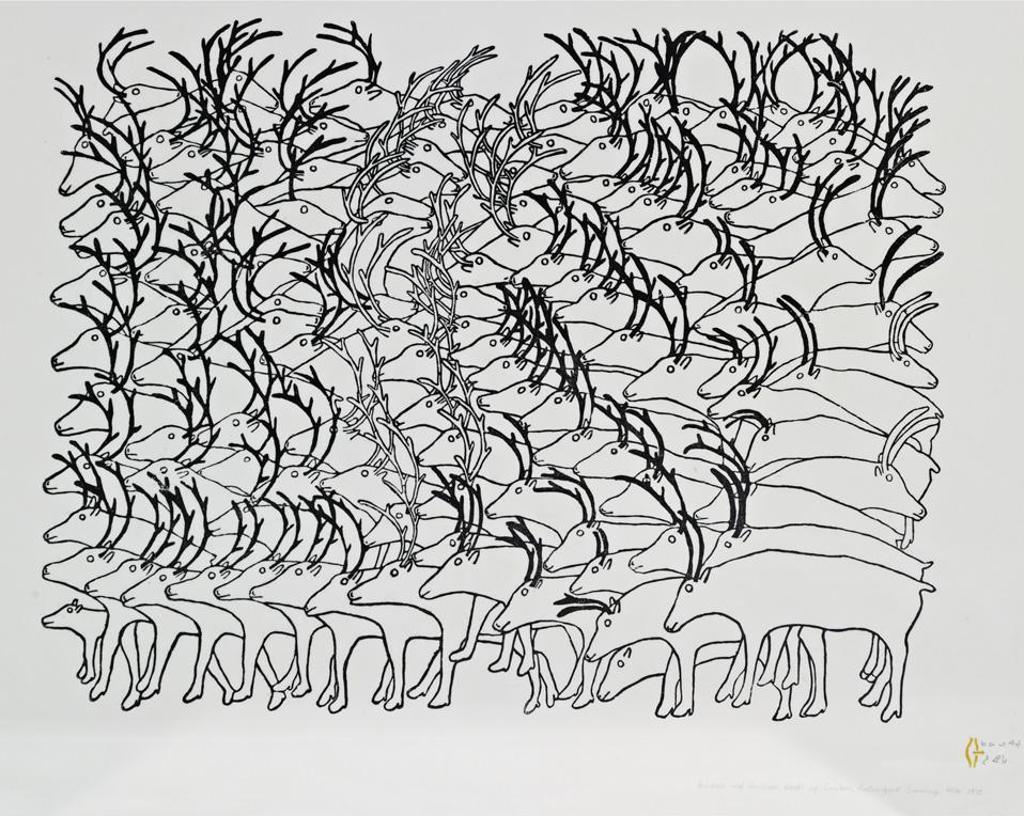 Ruth Qaulluaryuk (1932) - Hundreds And Hundreds, Herds Of Caribou