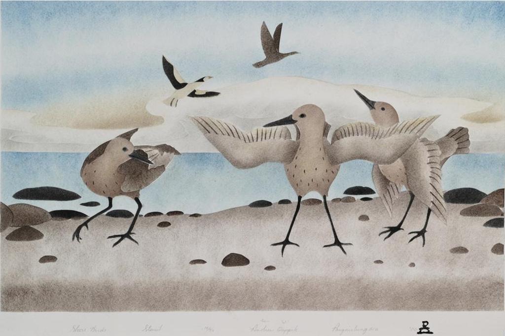 Andrew Qappik Karpik (1964) - Shore Birds