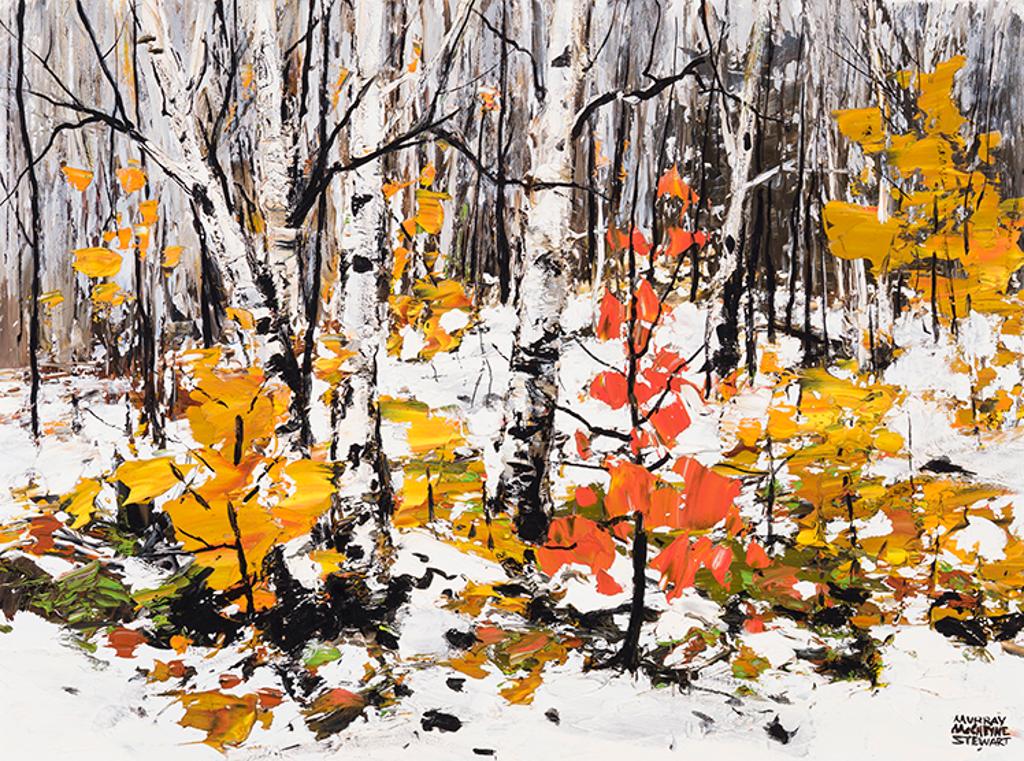 Murray Mccheyne Stewart (1919-2006) - Birch, 2nd Snow