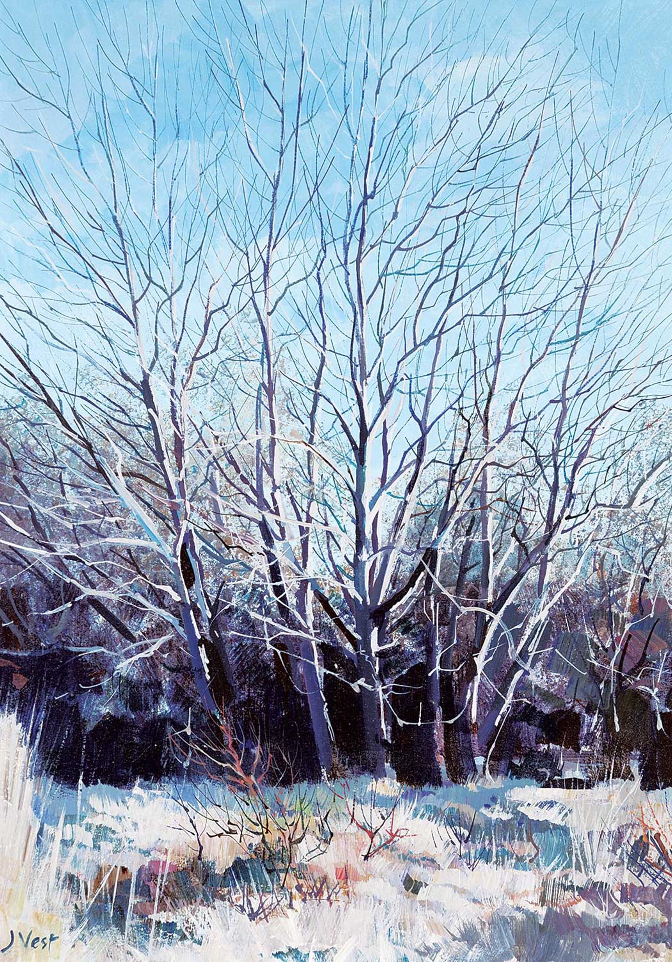 Jim Vest (1939) - Untitled - Winter Trees