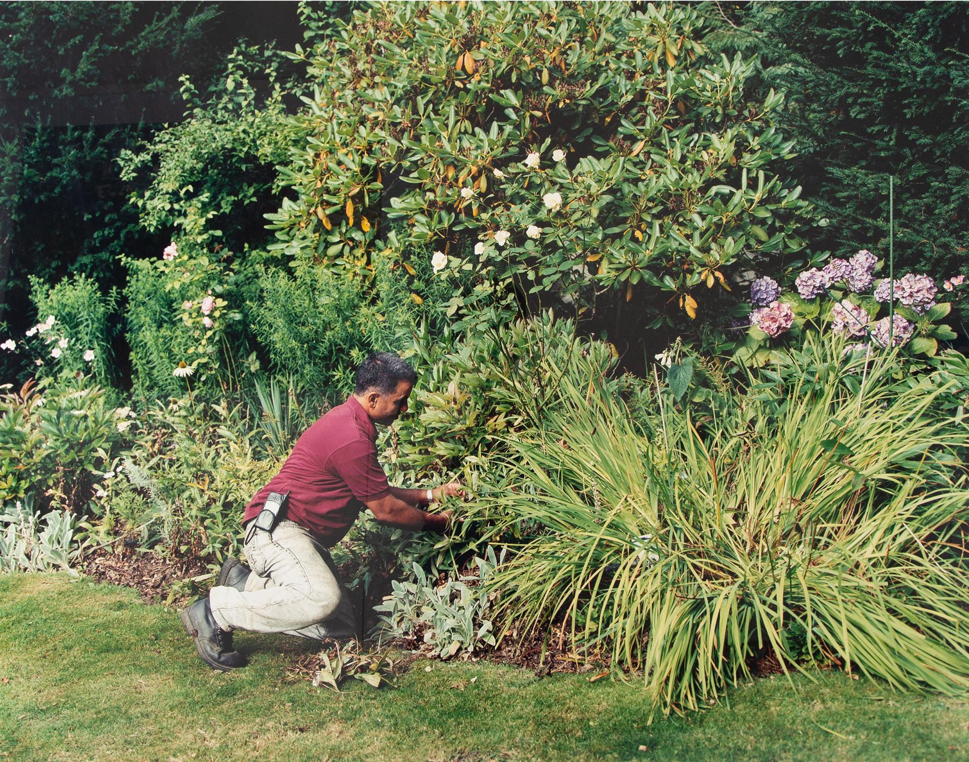 Scott Mcfarland (1975) - Trimming, Late Summer, Sarwan Thind