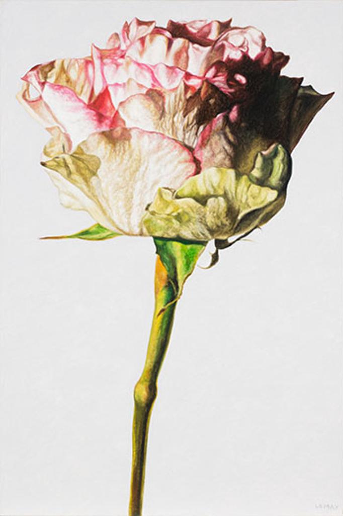 Robert Lemay (1961) - White & Pink Rose