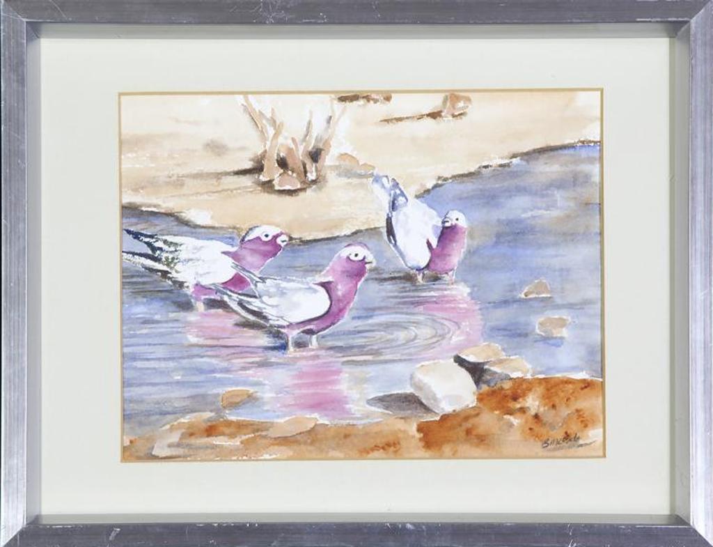 Bonnie Mcbride (1953) - Untitled - Pigeons