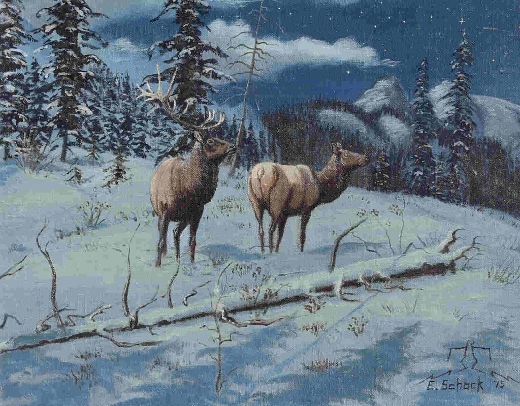 Elmer Schock - Elk At Night; 1975