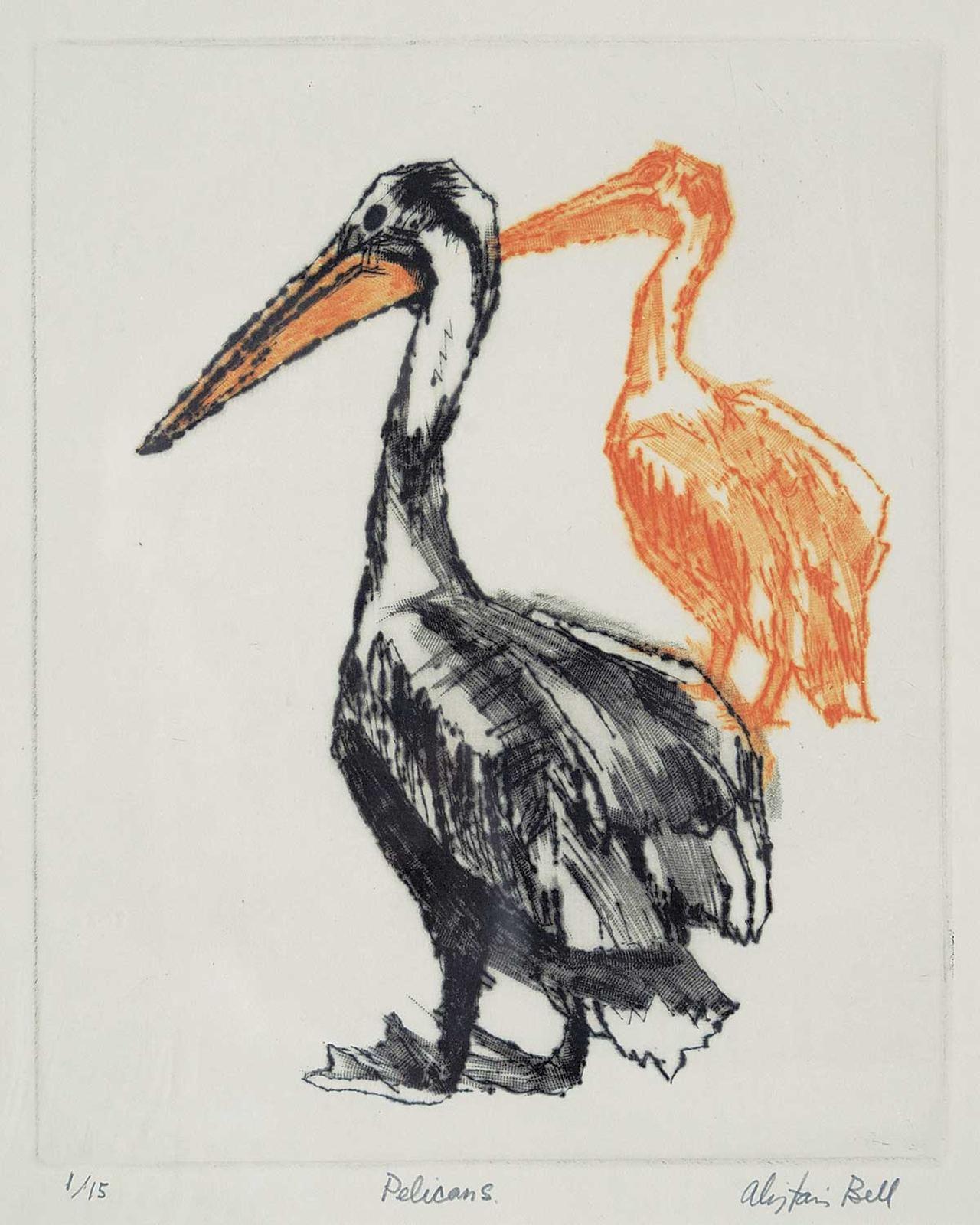 Alistair Macready Bell (1913-1997) - Pelicans  #1/15