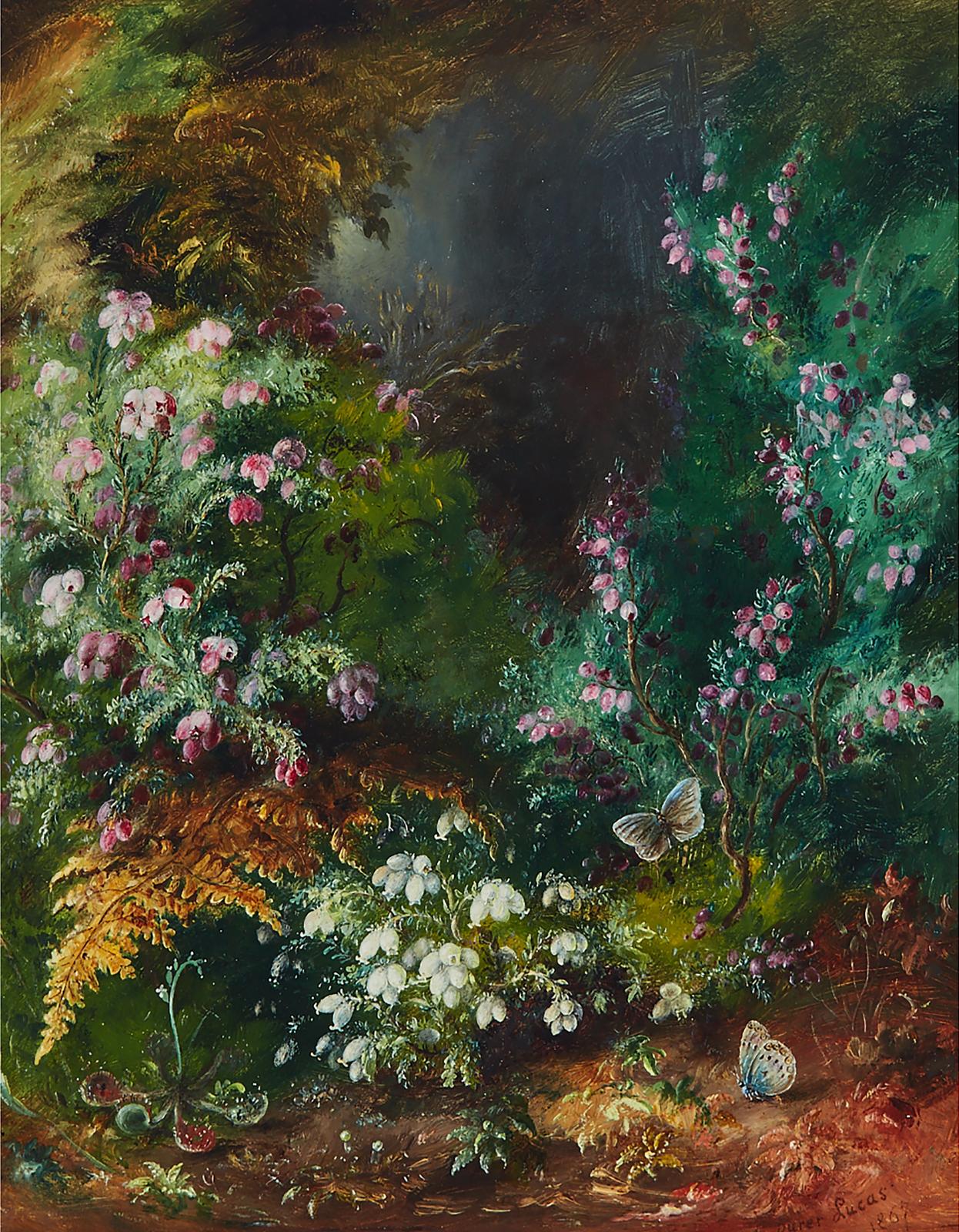 Spring Flowers On A Mossy Bank With Cross-Leaved Heather, Bladder Campion, Ferns And Butterflies; Primroses On A Mossy Bank, Circa 1867 by artist Albert Durer Lucas