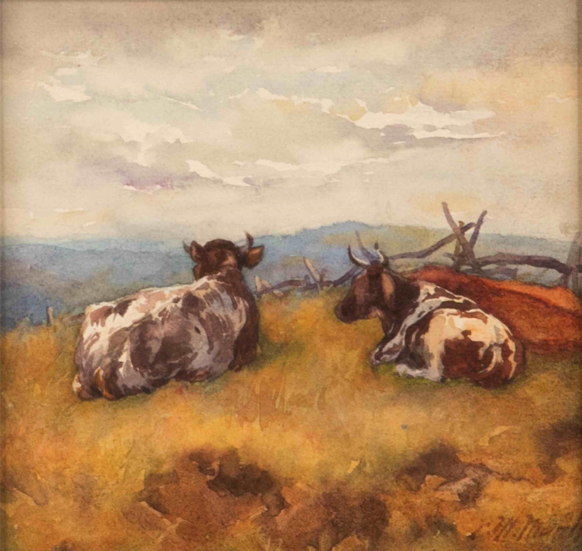 Charles MacDonald Manly (1855-1924) - Cattle at Rest