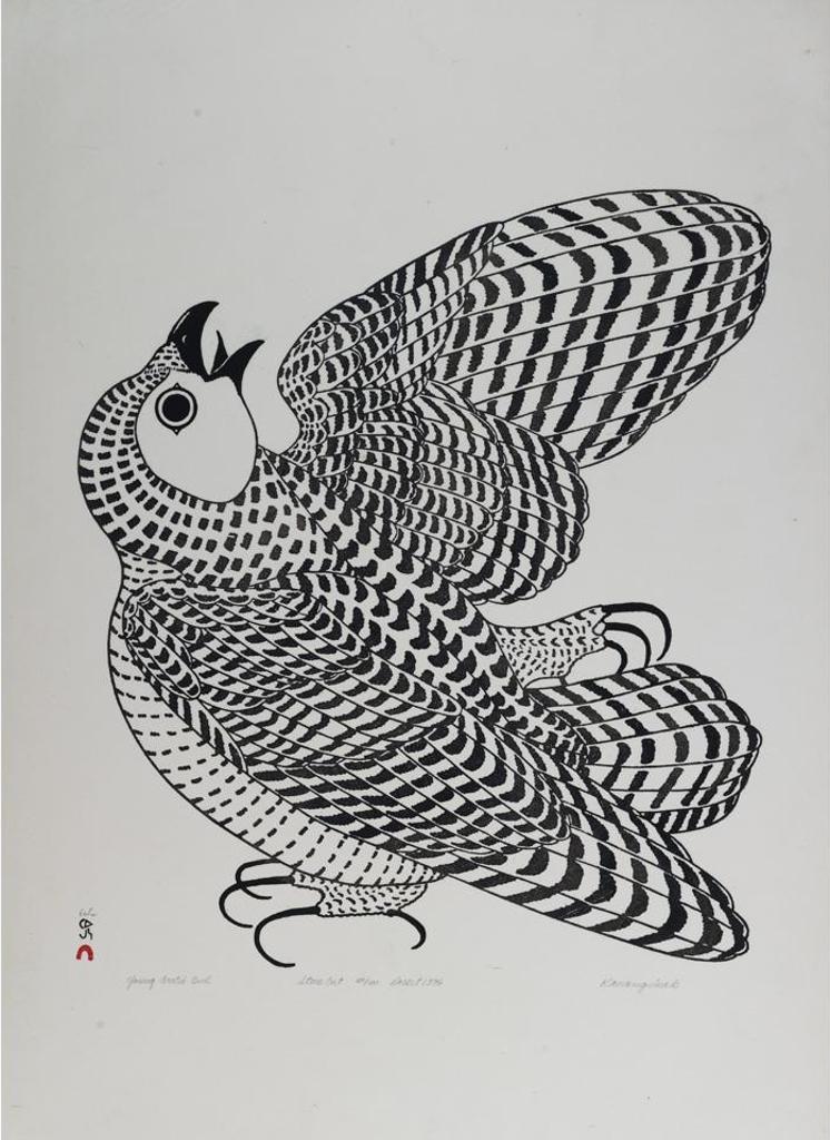 Kananginak Pootoogook (1935-2010) - Young Arctic Owl