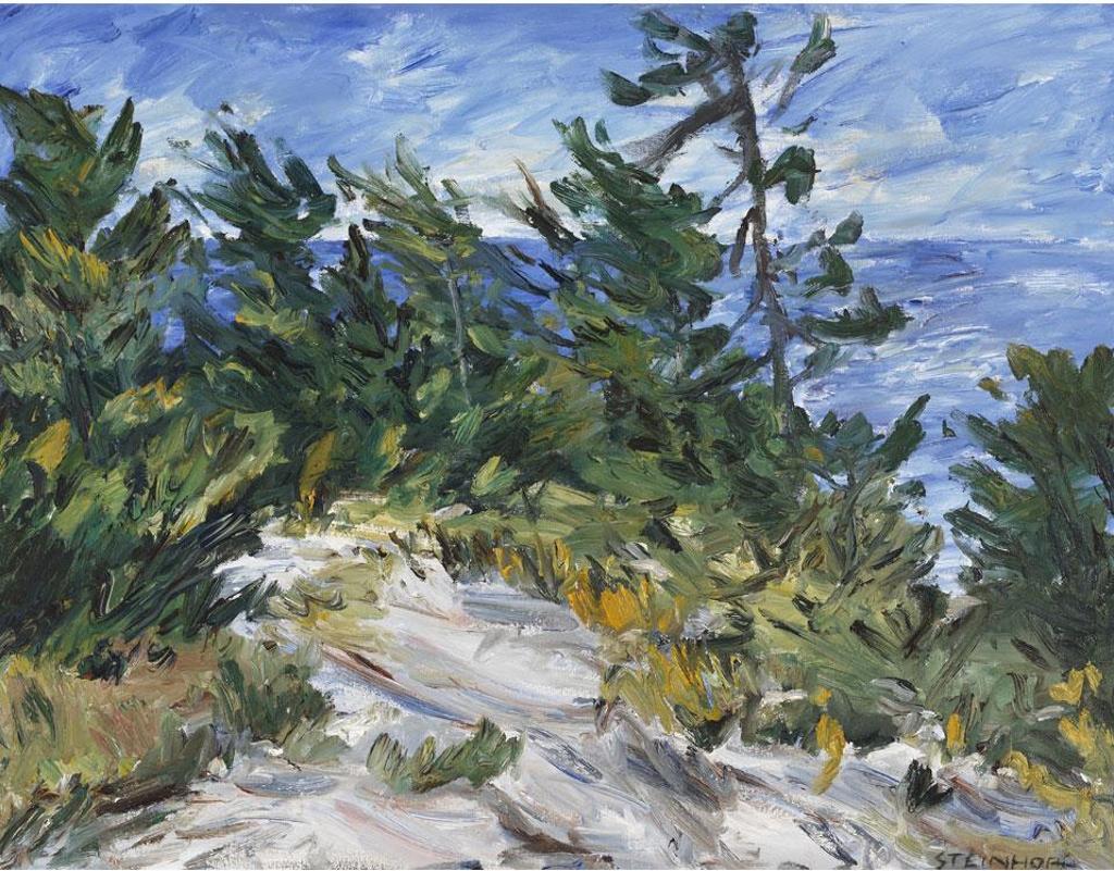 Bruce Steinhoff (1959) - Mowat Island, Georgian Bay