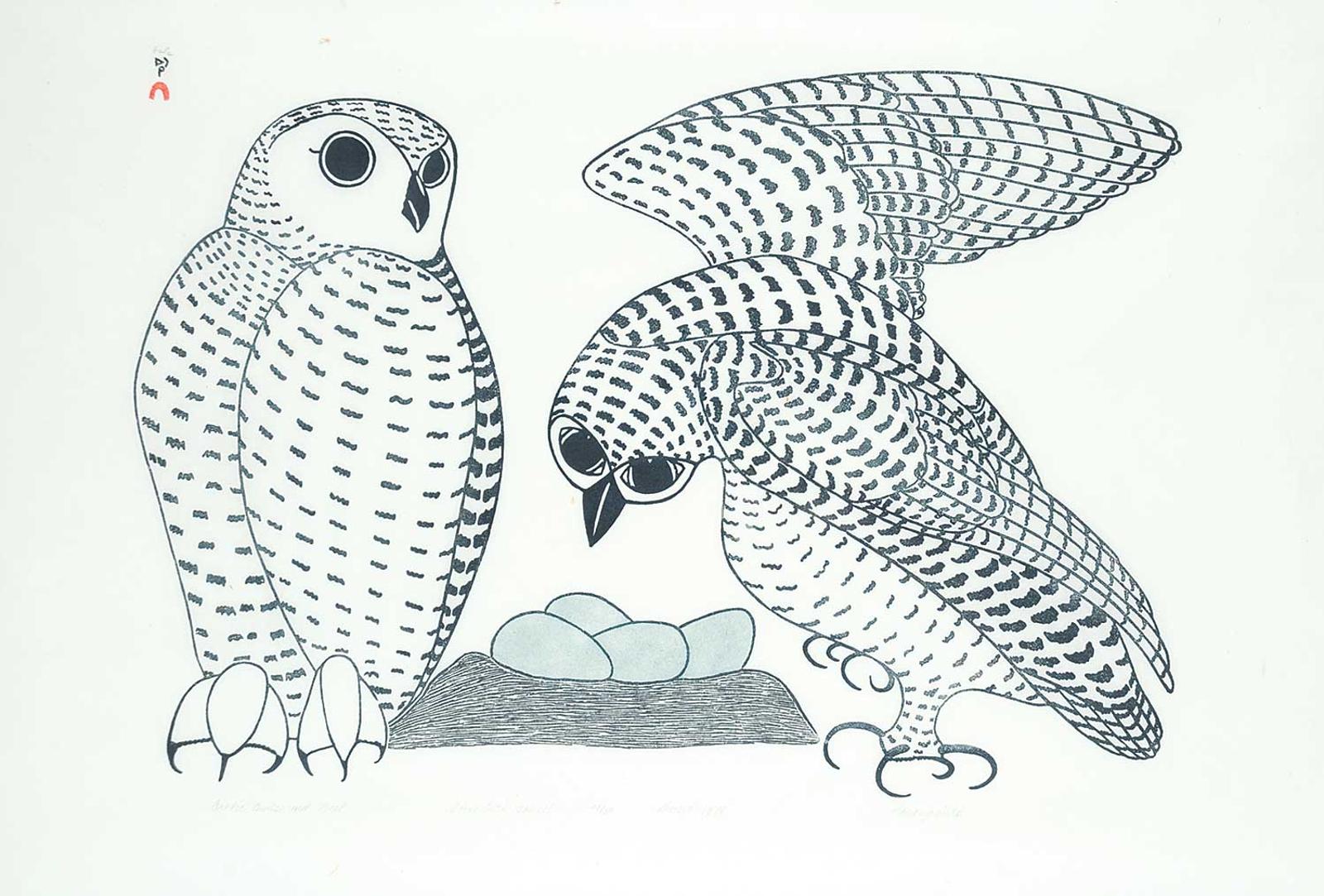 Pootoogook (1887-1958) - Artic Owls and Nest  #21/50