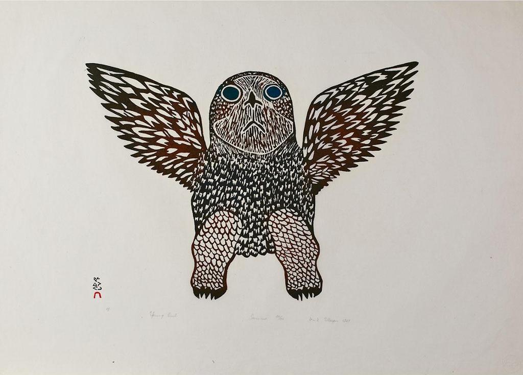 Ulayu Pingwartok (1904-1978) - Young Owl