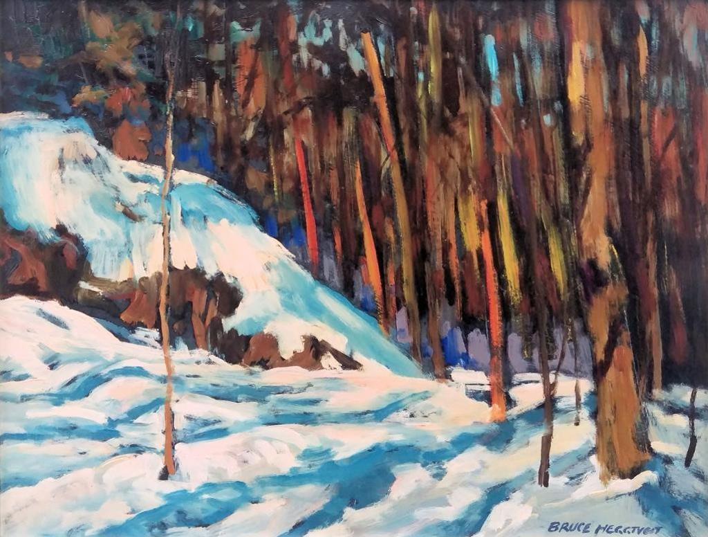 Bruce Allen Heggtveit (1917-2002) - Afternoon Sunshine, Gatineau Park, Quebec, 1996