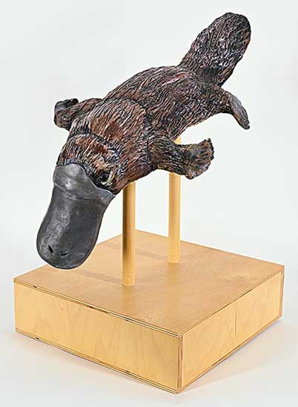 Jennifer Obst - Untitled - Mr. Platypus