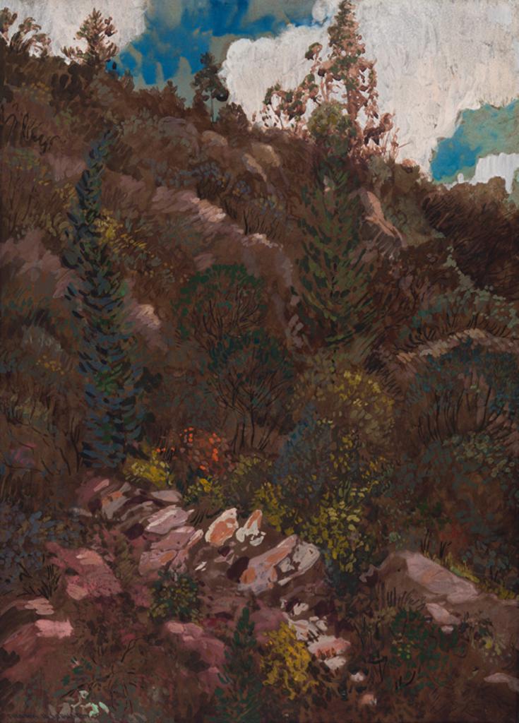 Frank (Franz) Hans Johnston (1888-1949) - A Canyon Wall, Algoma