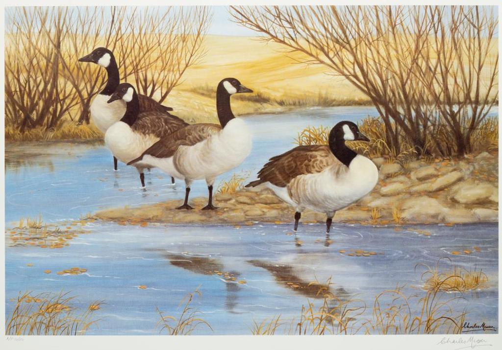 Chapman - Saskatchewan Reunion - Canada Geese