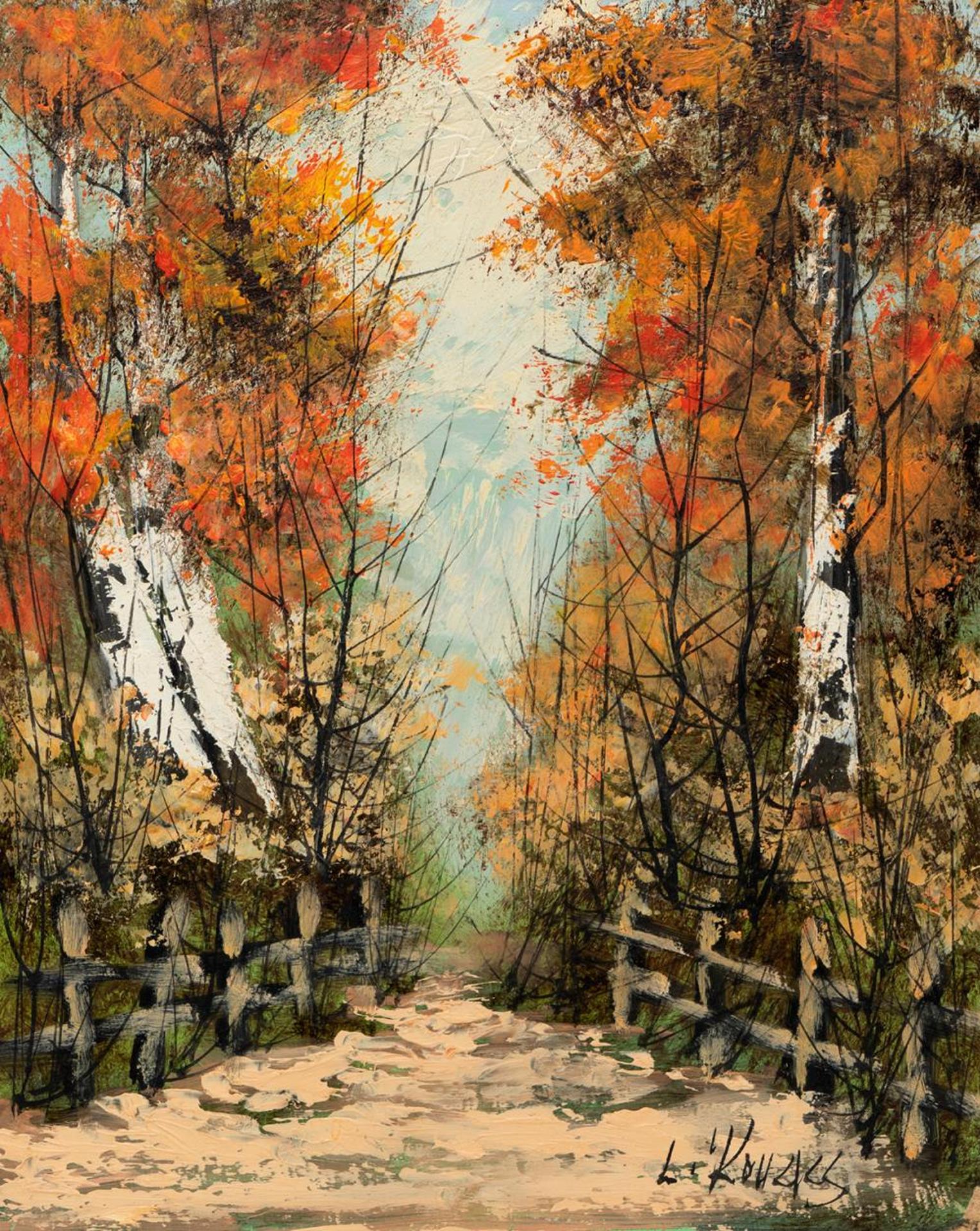 Les Kohak - Untitled - Autumn Road