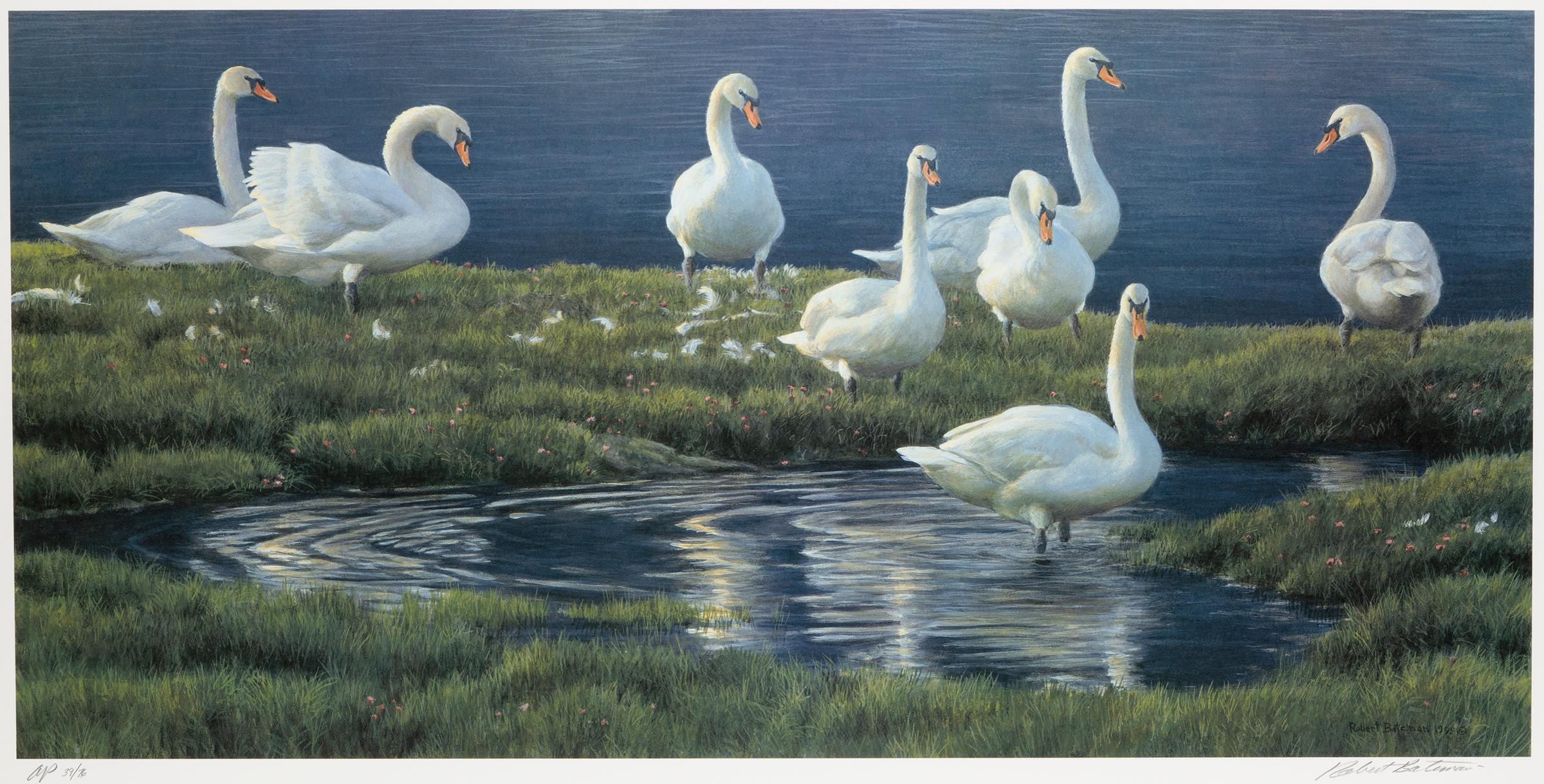 Robert Mclellan Bateman (1930-1922) - Bank of Swans