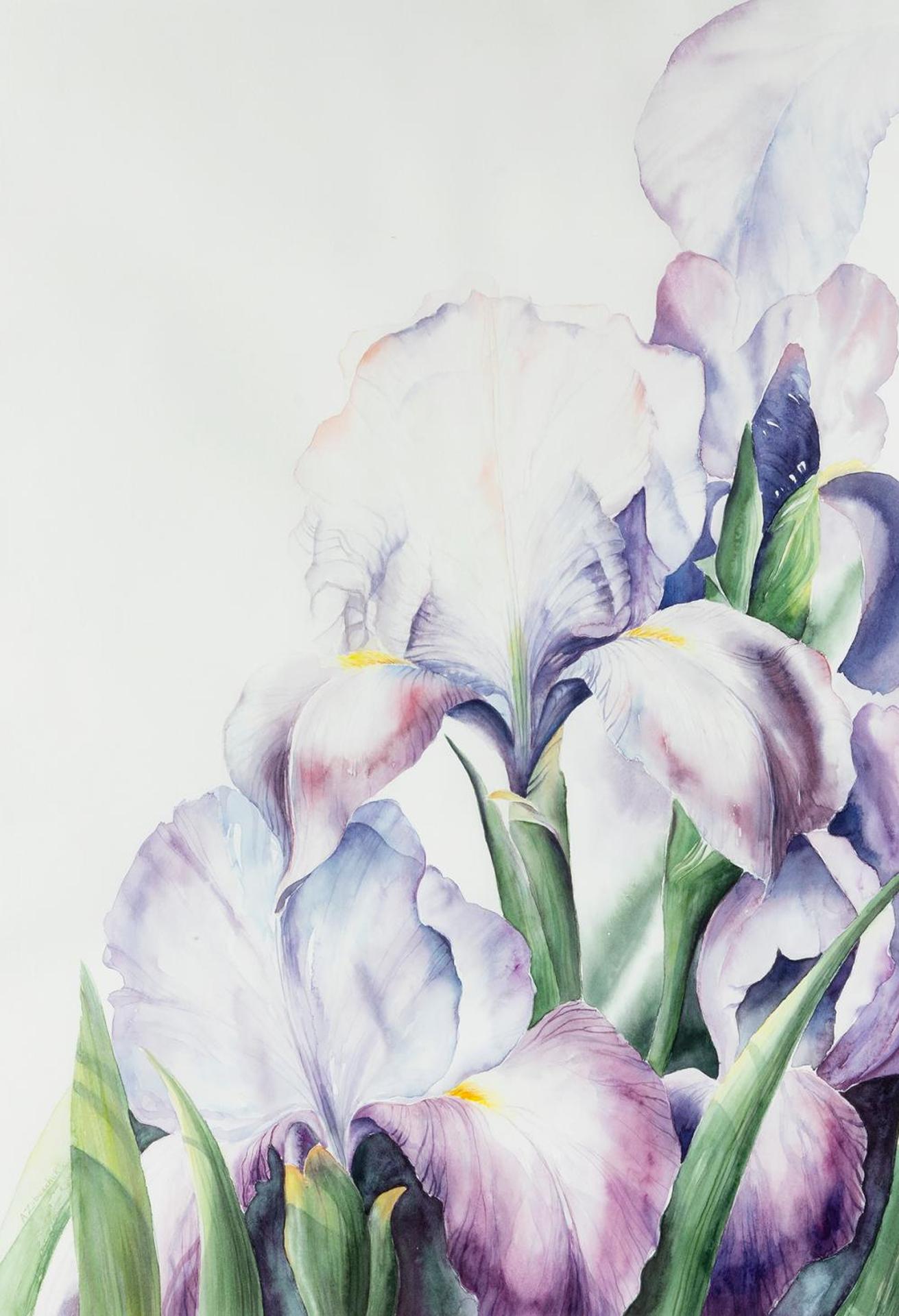 Alma Zaboschuk - Irises