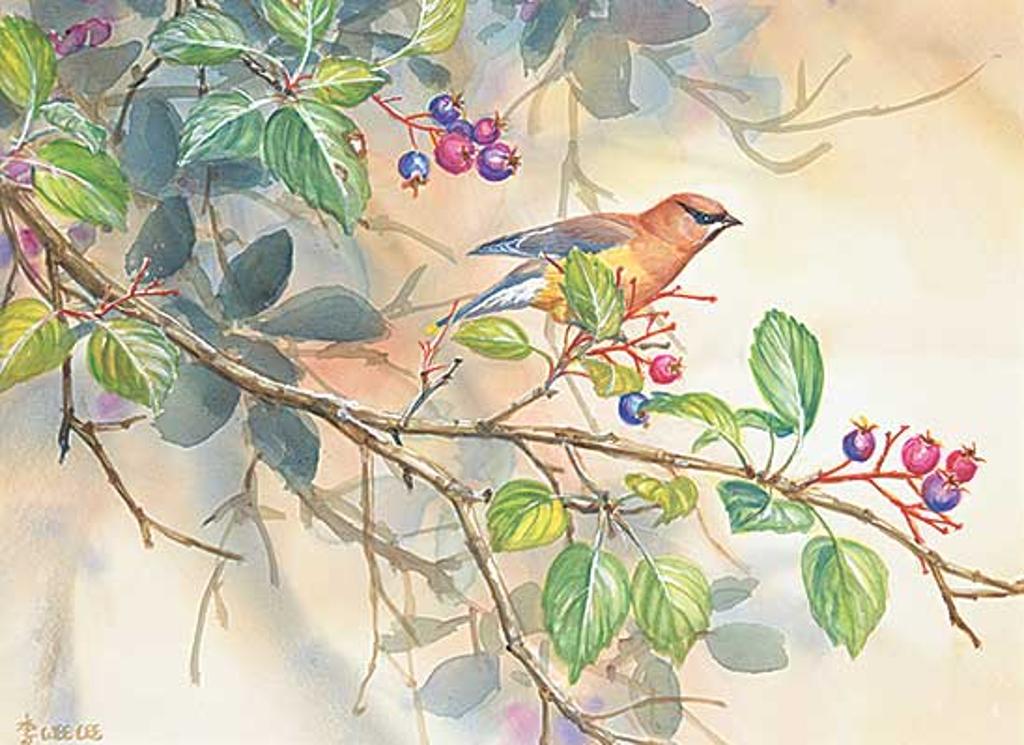 Wee Lee (1955) - Oh! Saskatoon Berries [Cedar Waxwings]