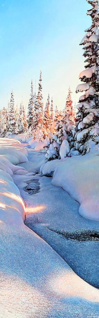 Richard Mravik (1973) - Winter Solitude Ii