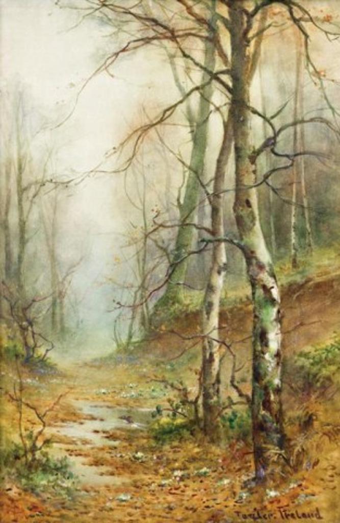Thomas Tayler Ireland (1880-1927) - The Woodland Pool