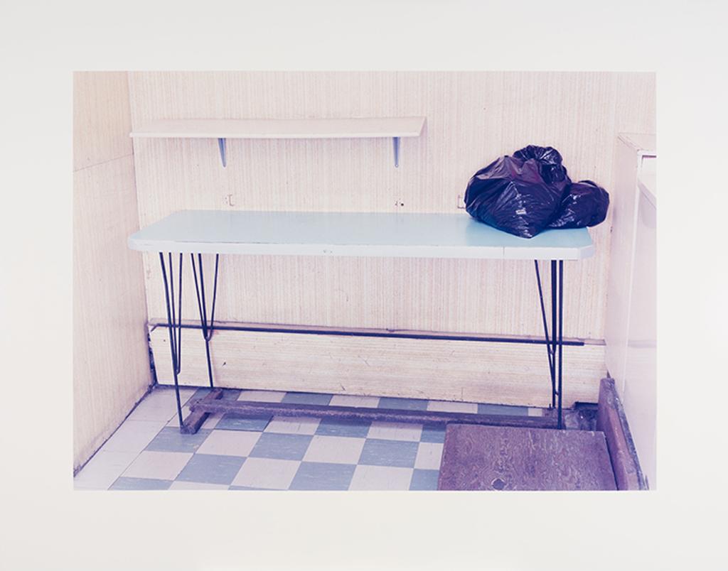 Howard Ursuliak - Untitled (Laundry Counter)
