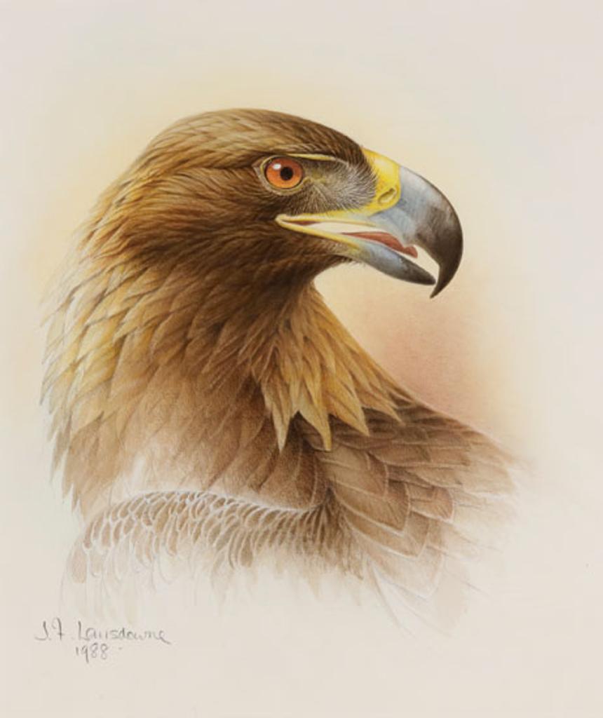 James Fenwick Lansdowne (1937-2008) - Golden Eagle (03244/199)