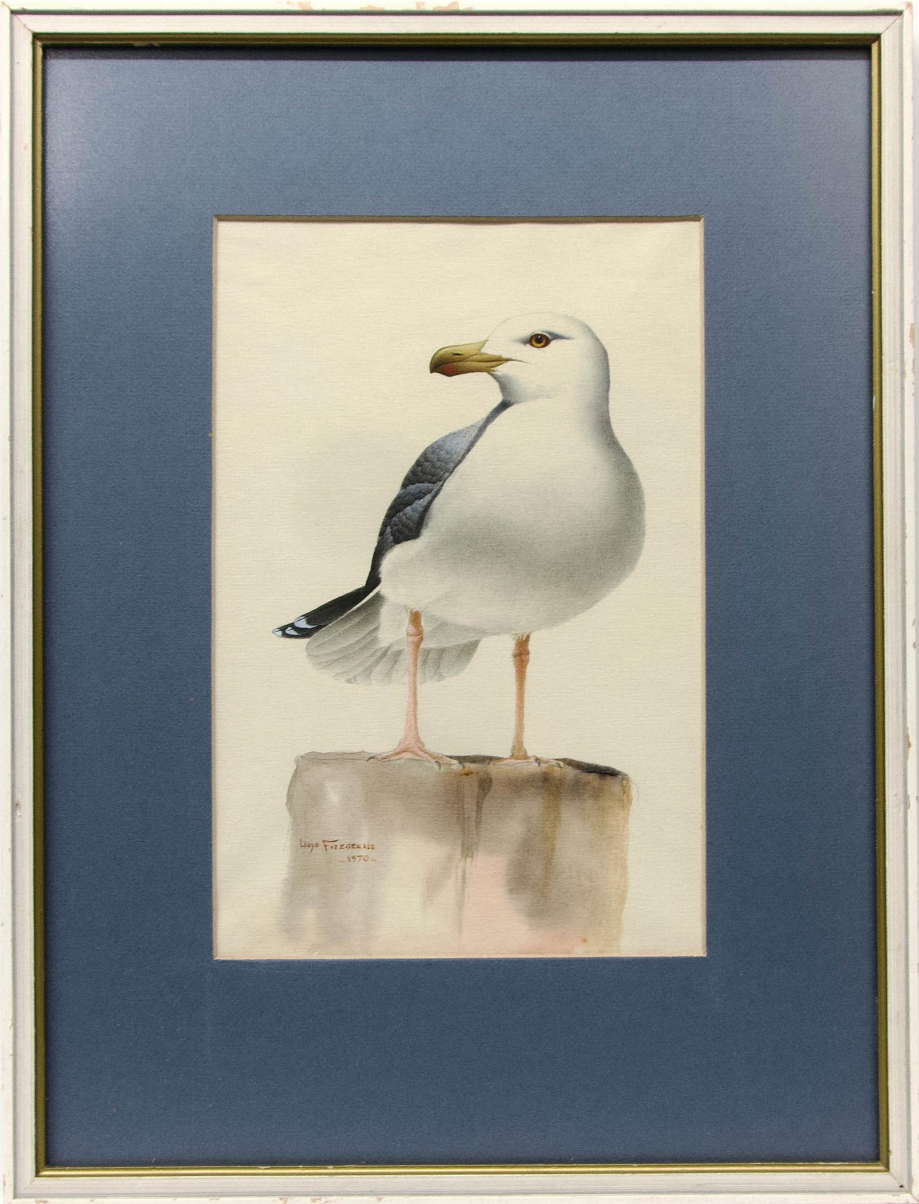 Lloyd Fitzgerald (1941) - Seagull
