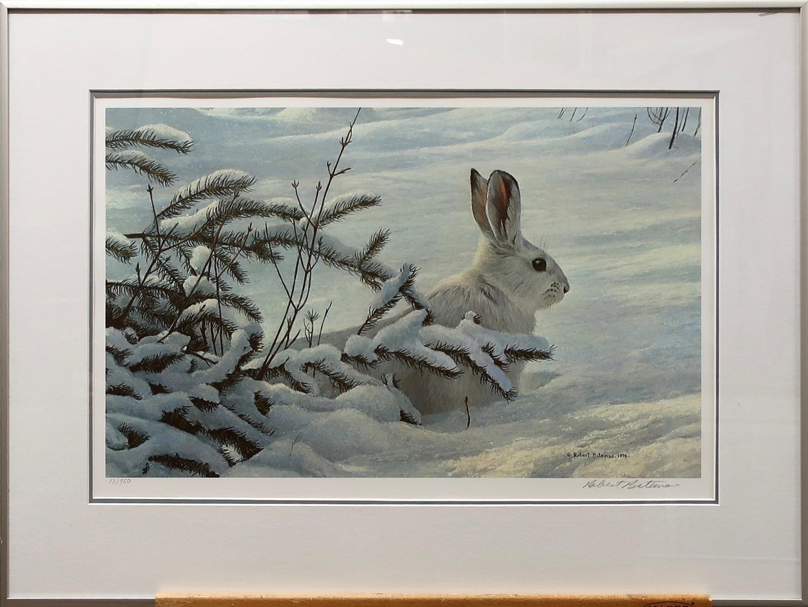 Robert Mclellan Bateman (1930-1922) - Winter - Snowshoe Hare