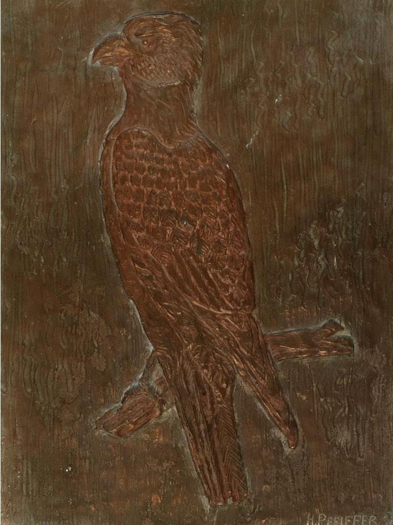 Harold Sampson Pfeiffer (1908-1997) - Portrait Of A Gyrfalcon