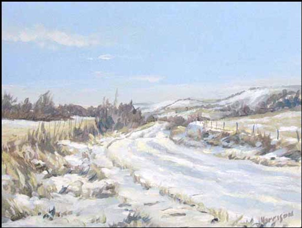 Ken Harrison (1951) - Trail Near Lumsden (00519/2013-T245)