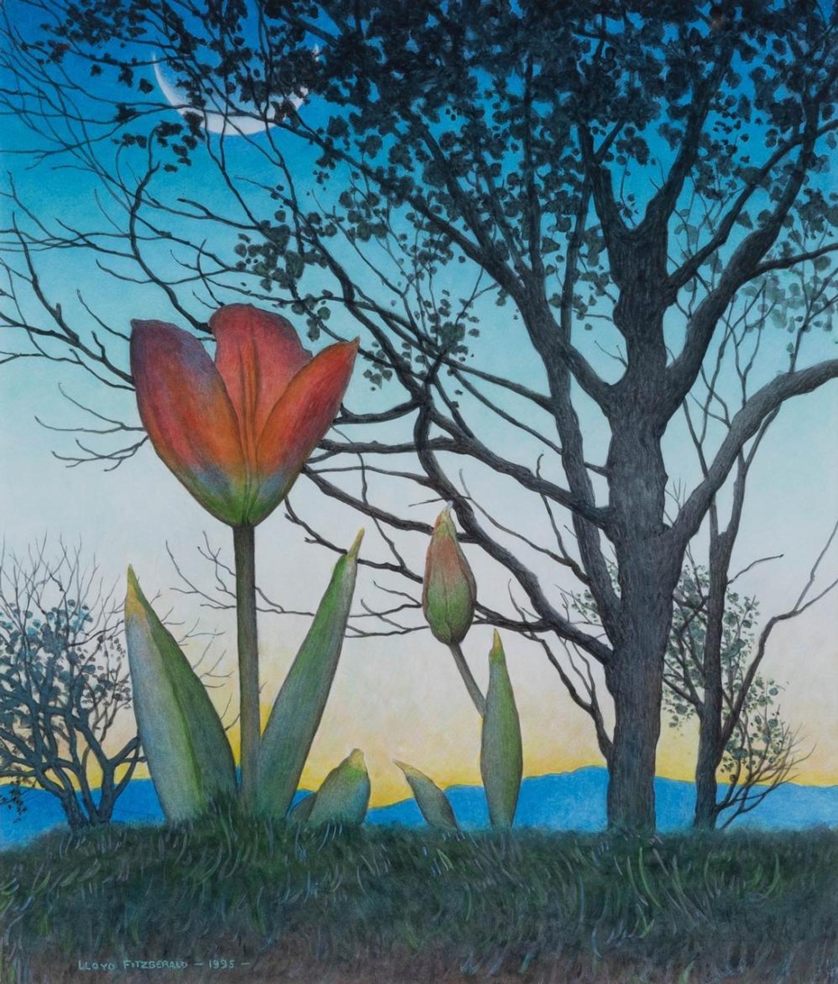 Lloyd Fitzgerald (1941) - Tulip and Trees