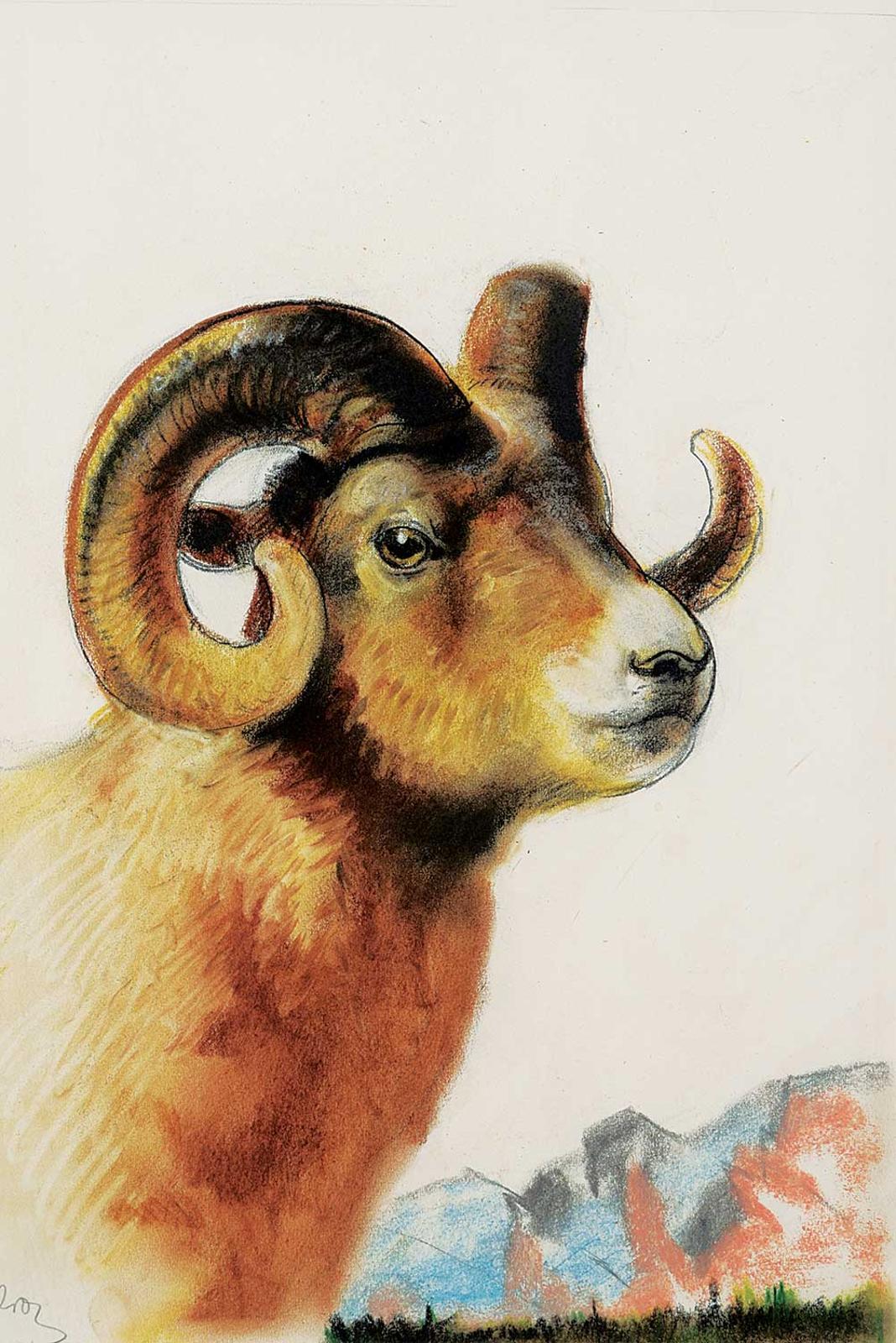 John Thomas Young Gilroy - Untitled - Bighorn Sheep